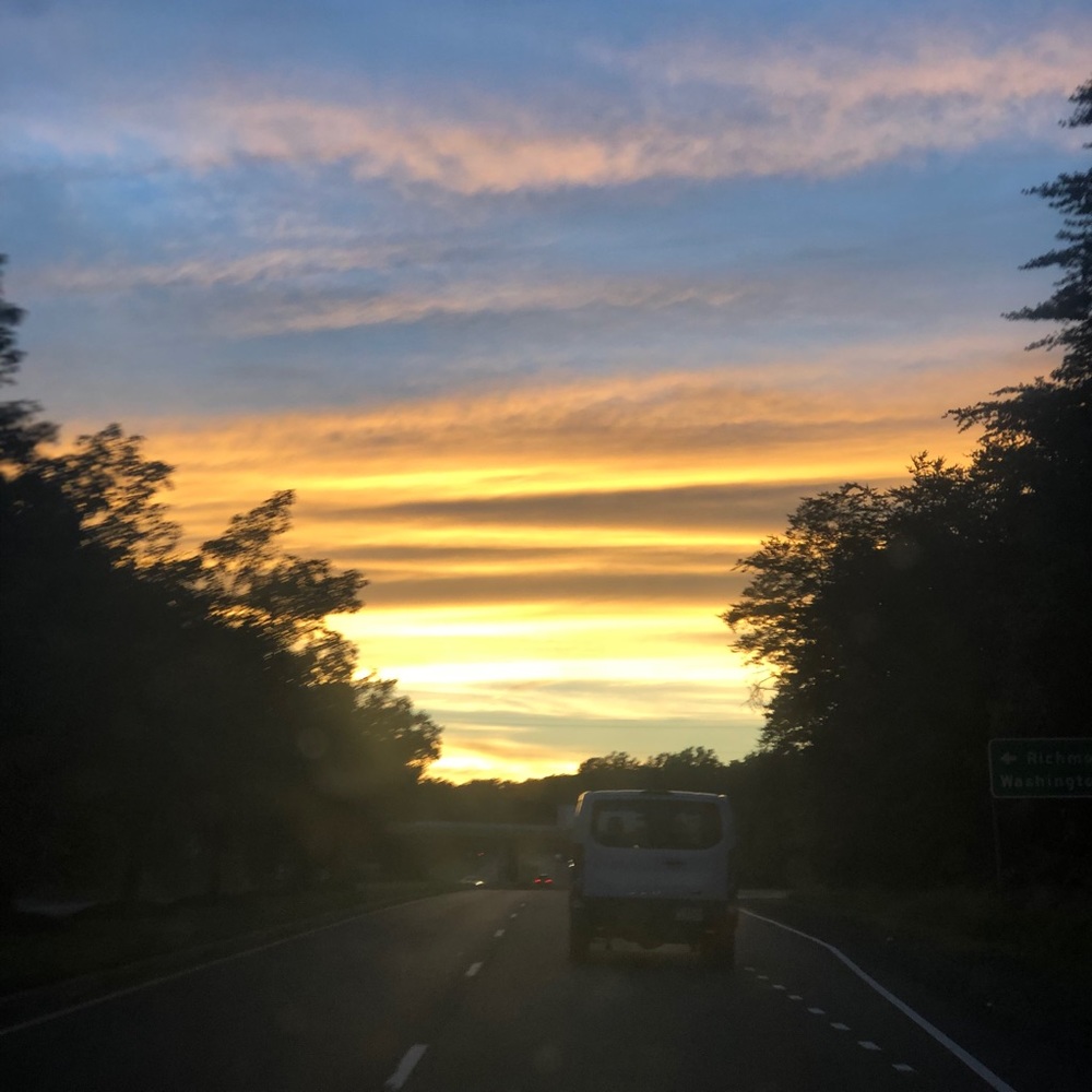 Meet your Posher, Sydni